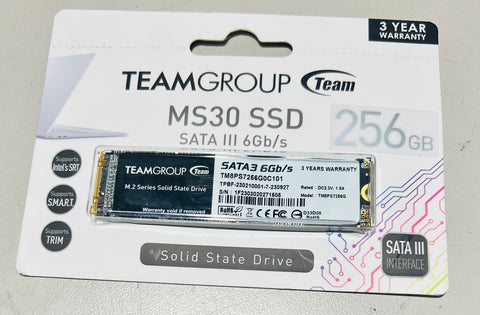 NEW TeamGroup TMPS7256G 256GB SATA 3.0 (6Gb/s) M.2 SSD
